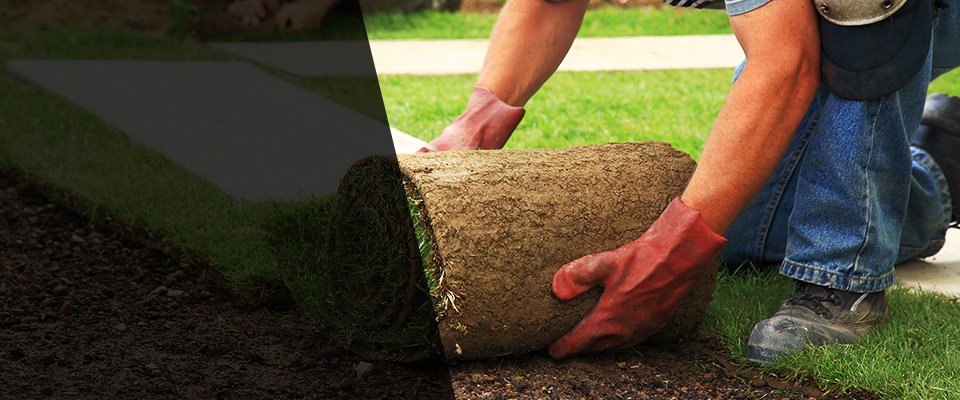 Whitney Point Landscapers